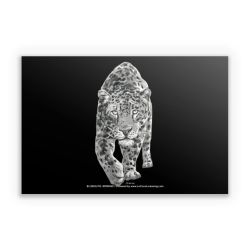 Sticker rectangle
