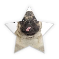 Sticker star