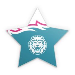 Sticker Stern Einzelsticker