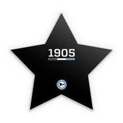 Sticker Stern Einzelsticker