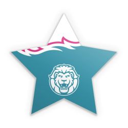 Sticker Stern Einzelsticker