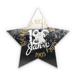 Sticker Stern Einzelsticker