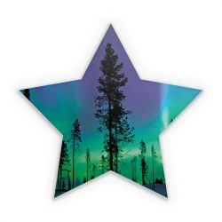 Sticker star