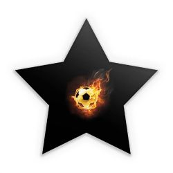 Sticker star