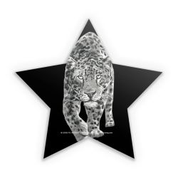 Sticker star