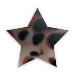 Sticker star