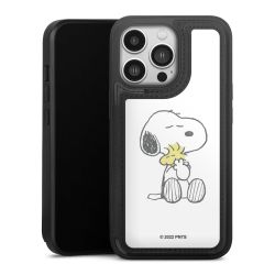 Câlin Snoopy & Woodstock