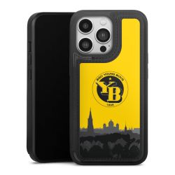 BSC YB Ligne d'horizon