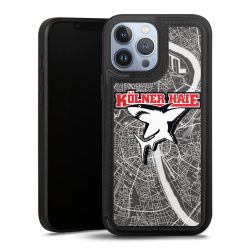 Kölner Haie City