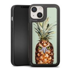 Ananas Kauz