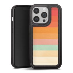Regenbogen Chevrons II