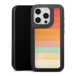 Regenbogen Chevrons II