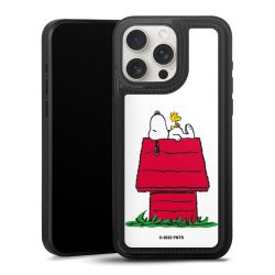 Snoopy and Woodstock Klassisch