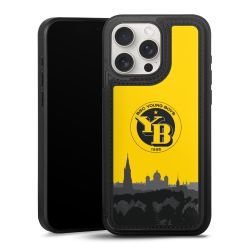 BSC YB Skyline