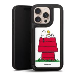 Snoopy and Woodstock Klassisch