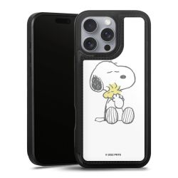 Câlin Snoopy & Woodstock