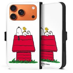 Snoopy and Woodstock Klassisch