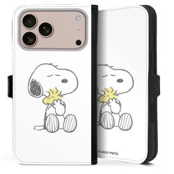 Câlin Snoopy & Woodstock