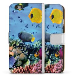 Sideflip Kotelo valkoinen