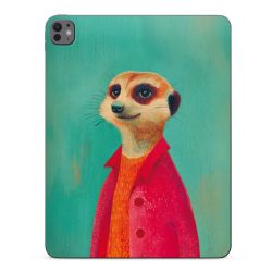 Foils for Tablets matt