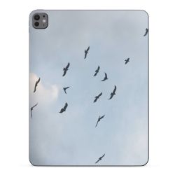 Foils for Tablets matt