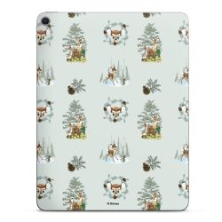 Foils for Tablets matt