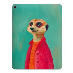 Foils for Tablets matt