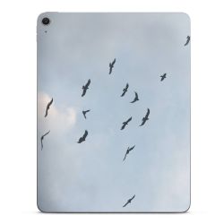 Foils for Tablets matt