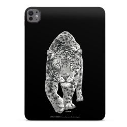 Folier Surfplatta matt