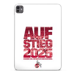 Folien für Tablets matt