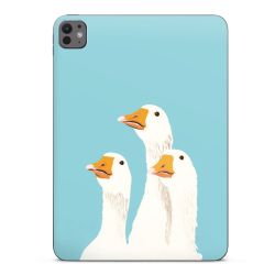 Foils for Tablets matt