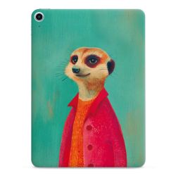 Foils for Tablets matt