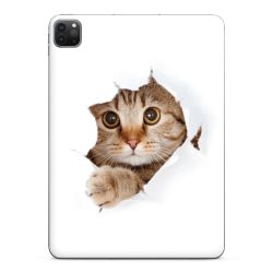 Foils for Tablets glossy