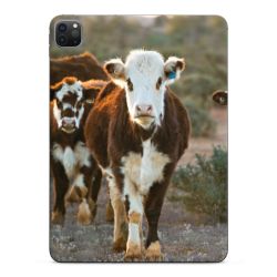 Foils for Tablets glossy