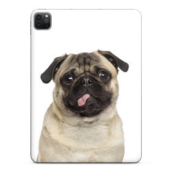 Foils for Tablets glossy