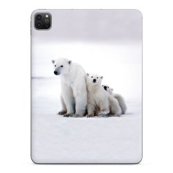 Foils for Tablets glossy