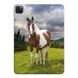 Foils for Tablets glossy