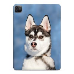 Foils for Tablets glossy