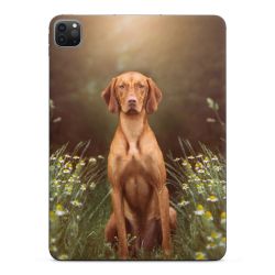 Foils for Tablets glossy