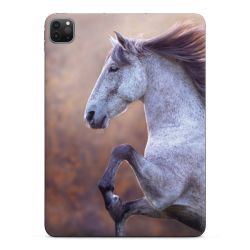 Foils for Tablets glossy