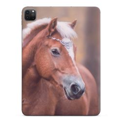 Foils for Tablets glossy