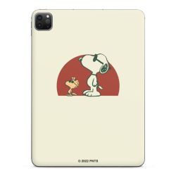 Foils for Tablets glossy