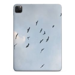 Foils for Tablets glossy