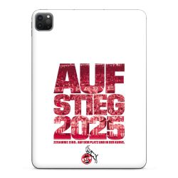 Folien für Tablets matt