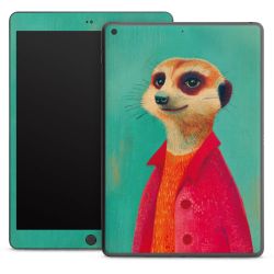 Foils for Tablets matt