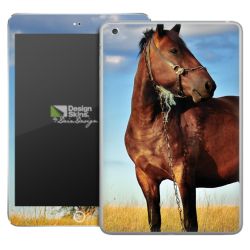 Foils for Tablets glossy