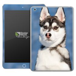 Foils for Tablets glossy