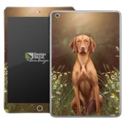 Foils for Tablets glossy