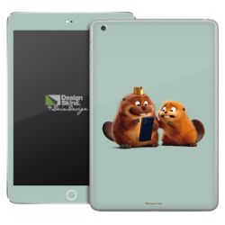 Foils for Tablets matt