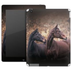 Foils for Tablets matt